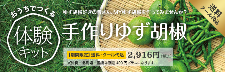 ゆずこしょう作り体験キット