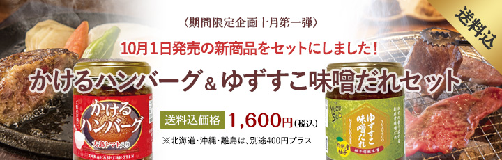 かけるハンバーグ&ゆずすこ味噌だれセット