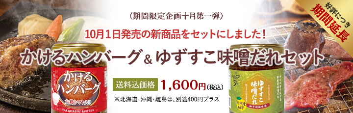 かけるハンバーグ&ゆずすこ味噌だれセット