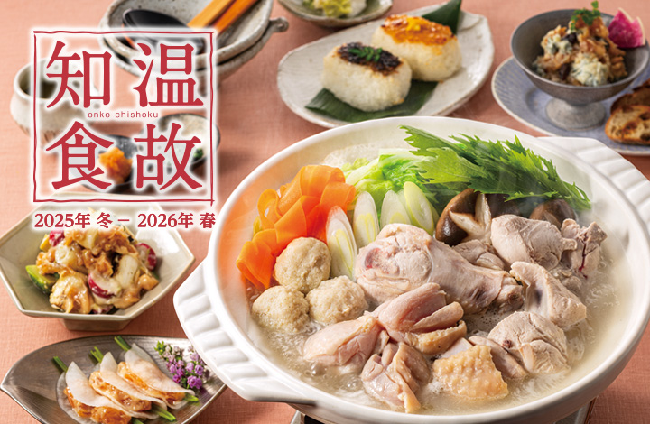 歳暮 Xmasカタログ 旅行 食事 多数掲載 ギフトオイルヒーター 布団乾燥